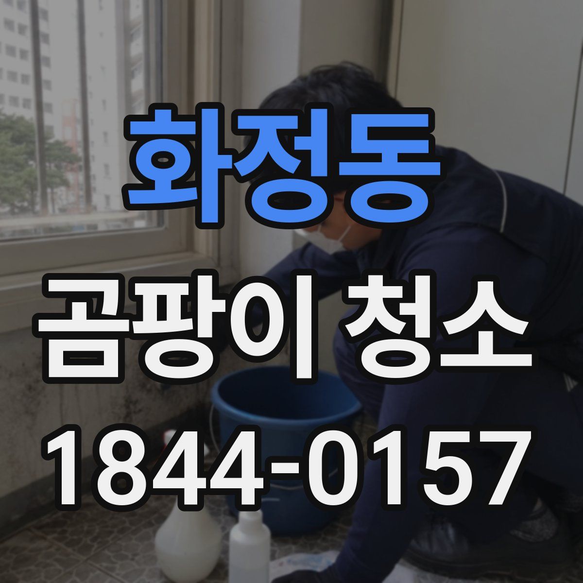 화정동 곰팡이 청소