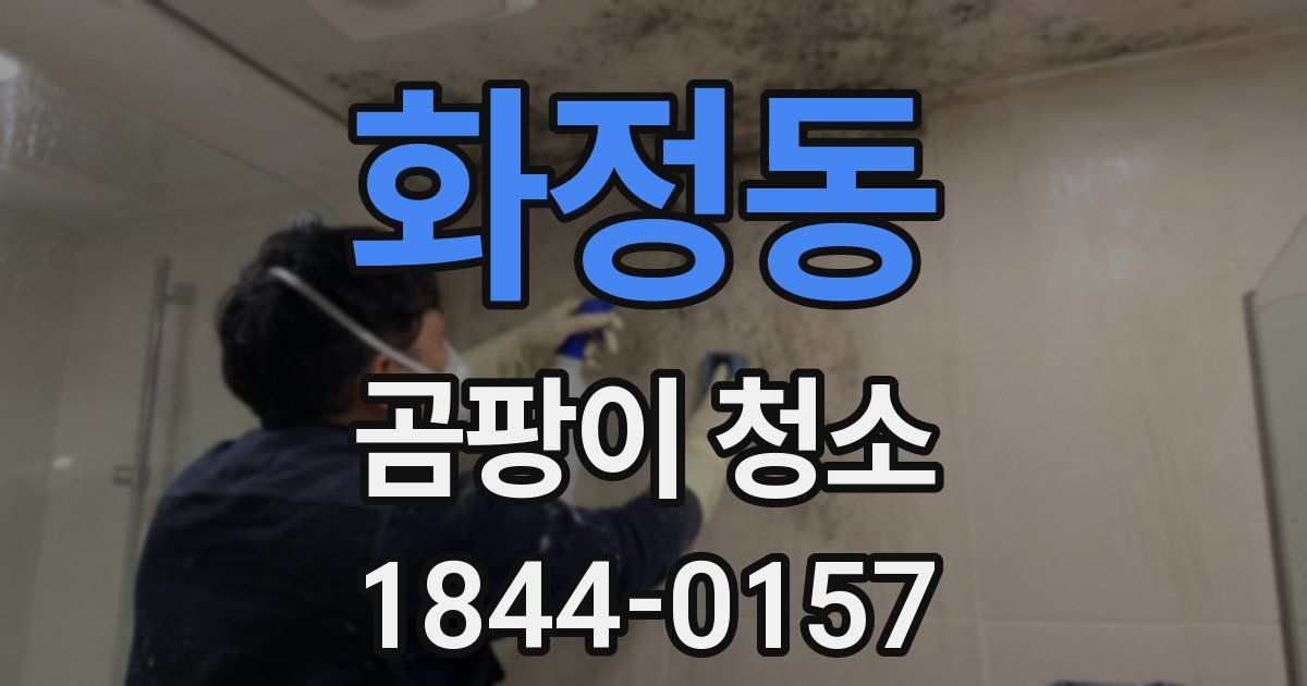 화정동 곰팡이 청소