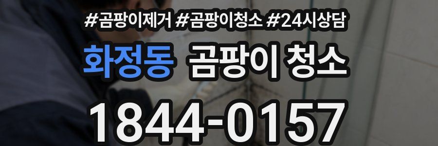 화정동 곰팡이 청소