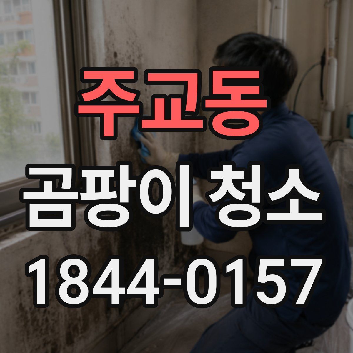 주교동 곰팡이 청소