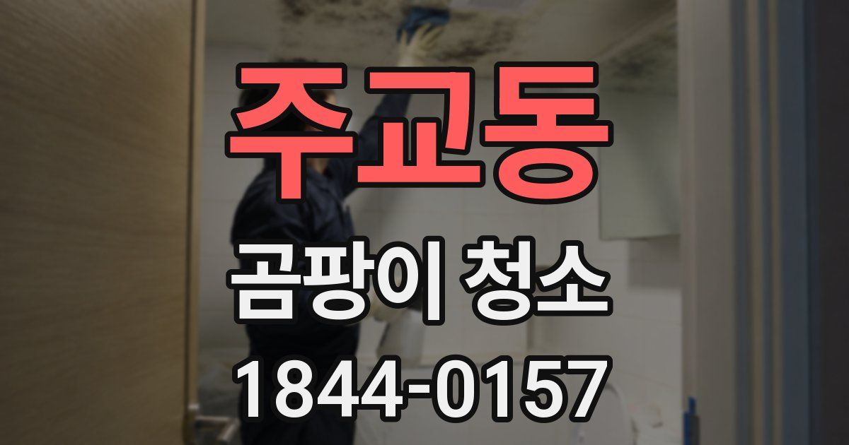 주교동 곰팡이 청소