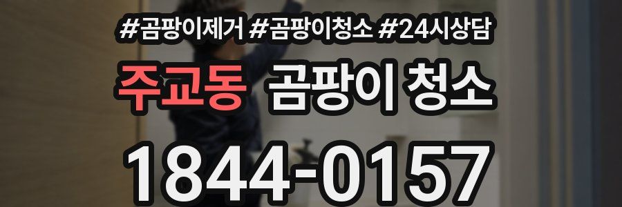 주교동 곰팡이 청소