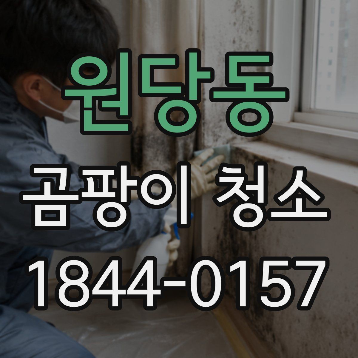원당동 곰팡이 청소 천장 얼룩을 안전하게 다루기 전에 볼 것