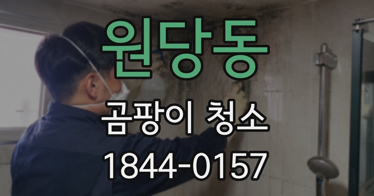 원당동 곰팡이 청소