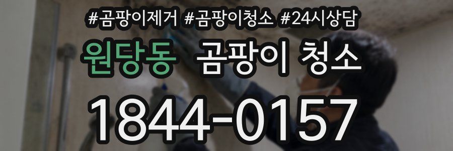 원당동 곰팡이 청소