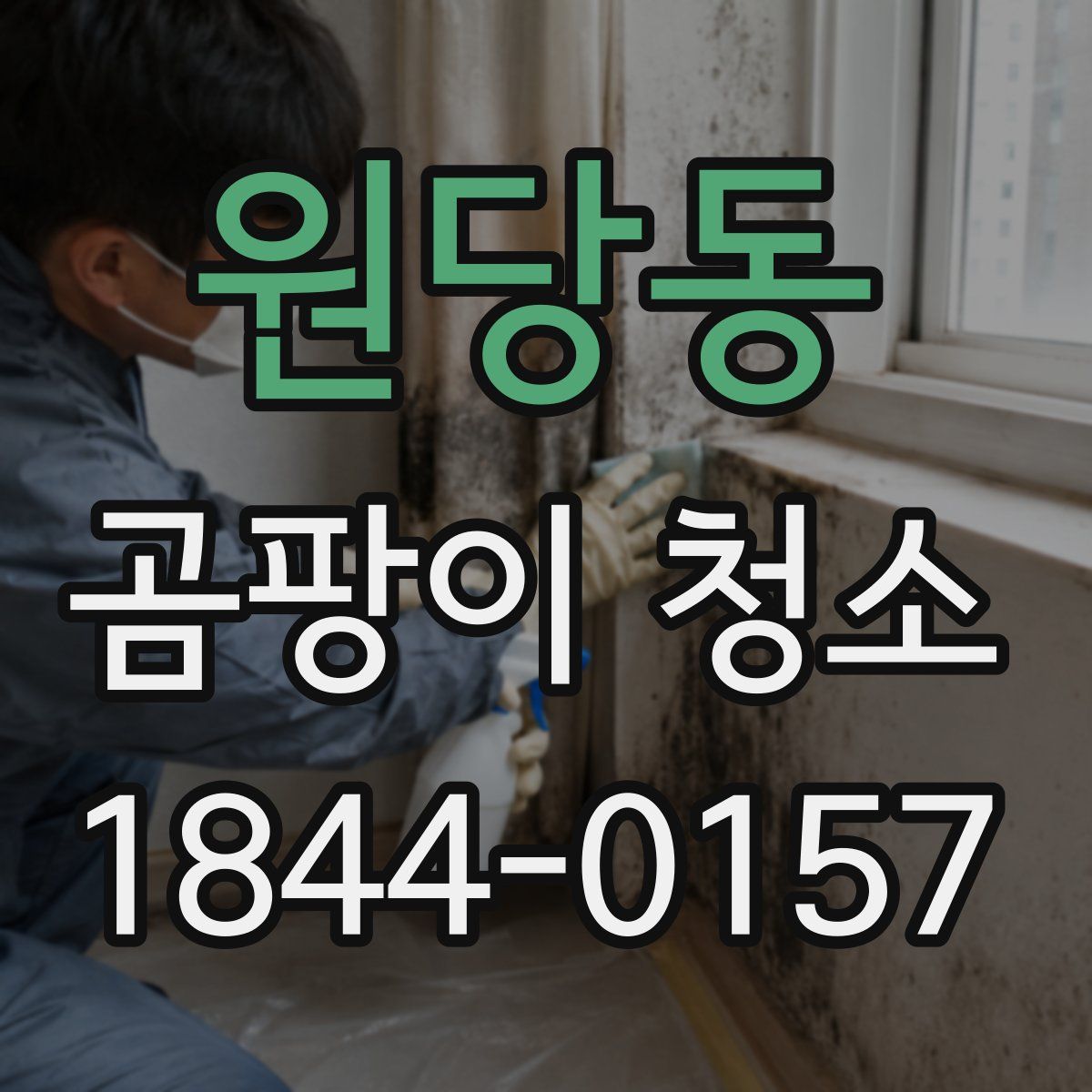 원당동 곰팡이 청소