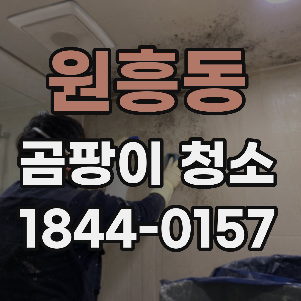 원흥동 곰팡이 청소
