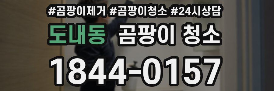 도내동 곰팡이 청소