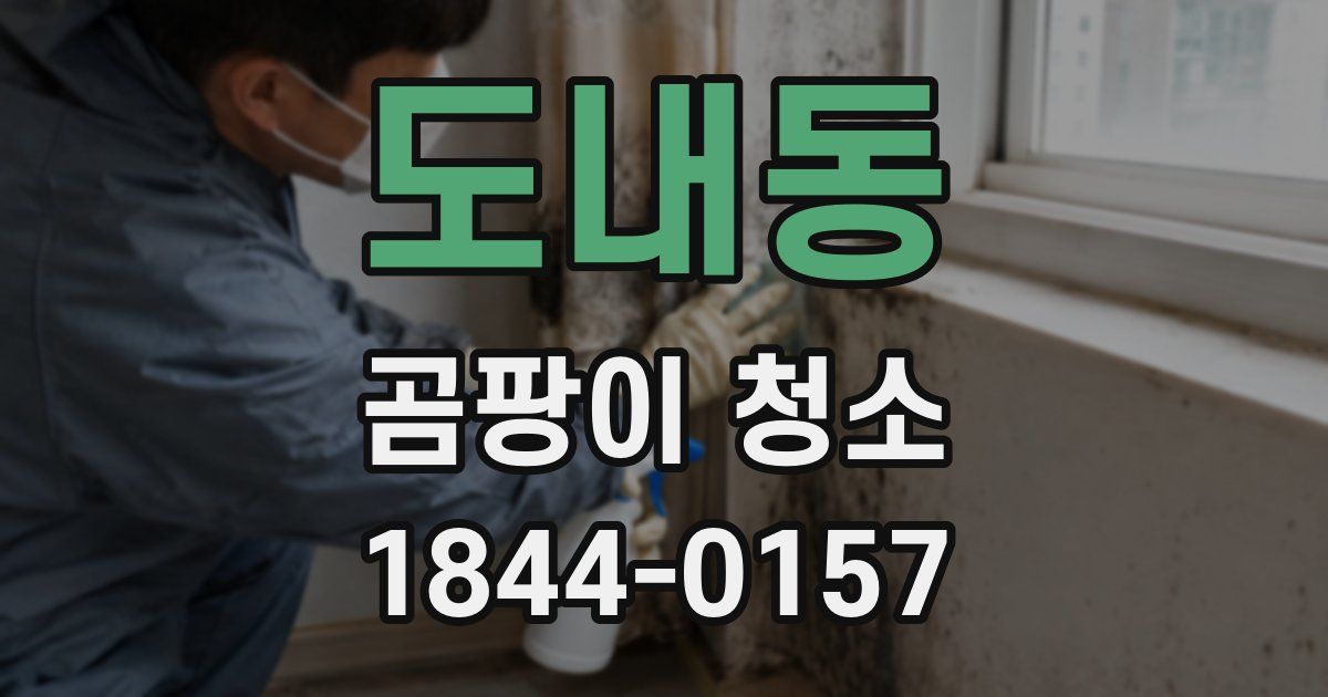 도내동 곰팡이 청소