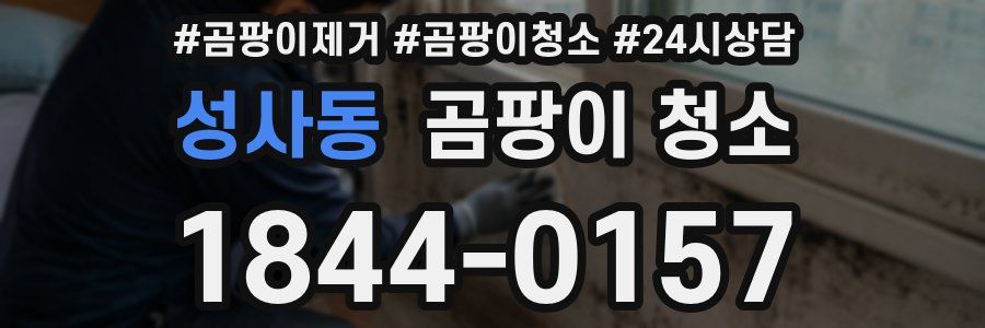 성사동 곰팡이 청소