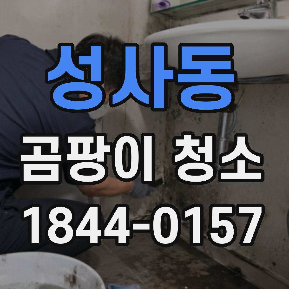 성사동 곰팡이 청소
