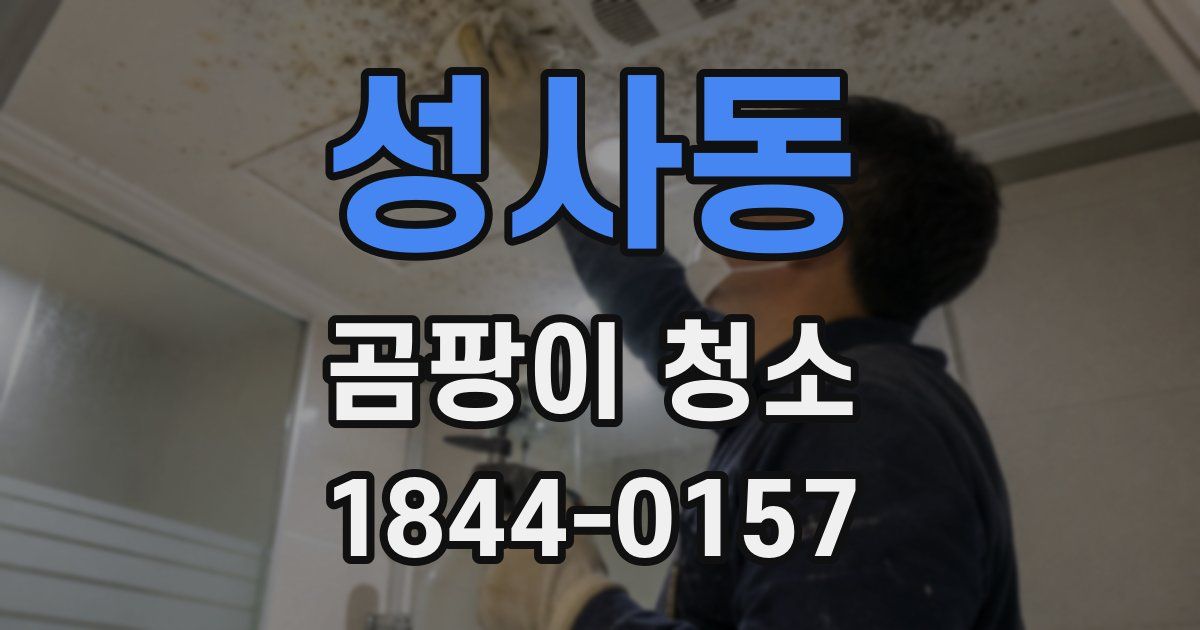 성사동 곰팡이 청소
