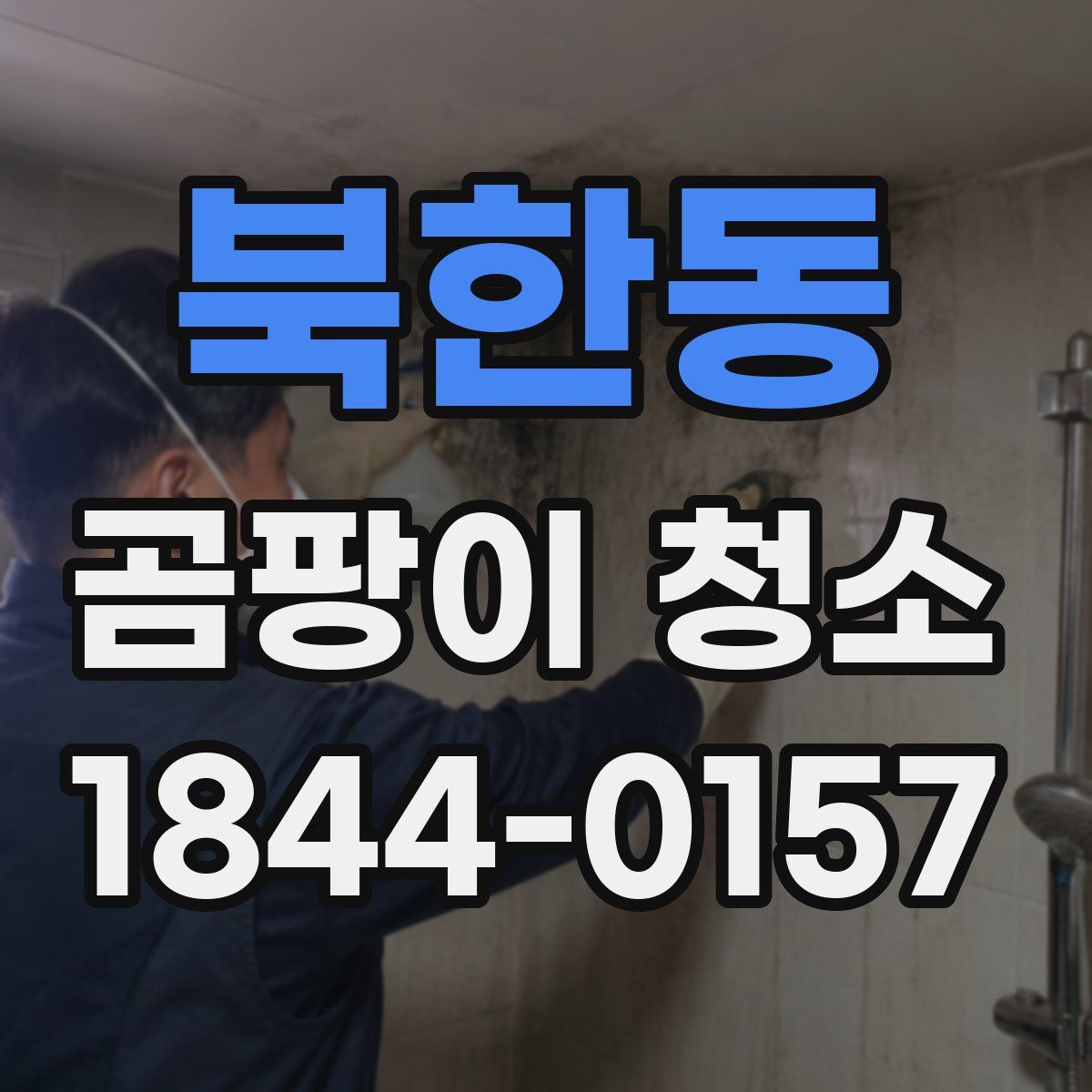 북한동 곰팡이 청소