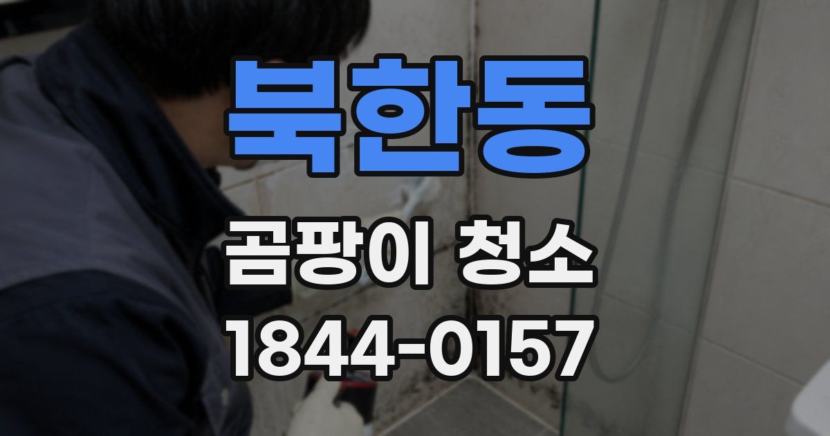 북한동 곰팡이 청소