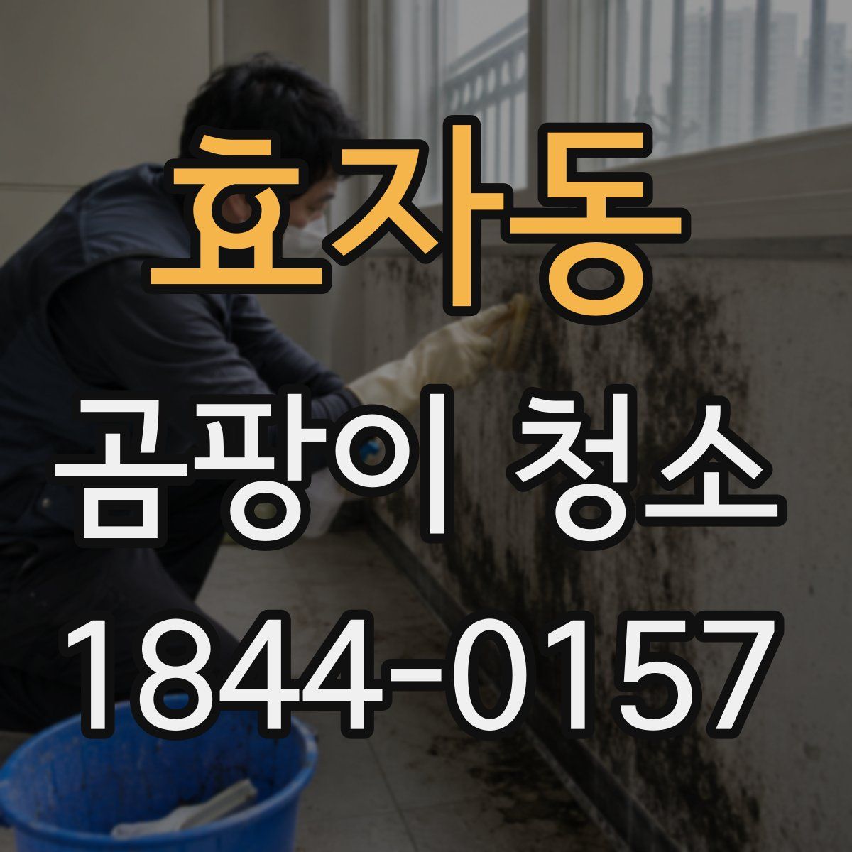 효자동 곰팡이 청소