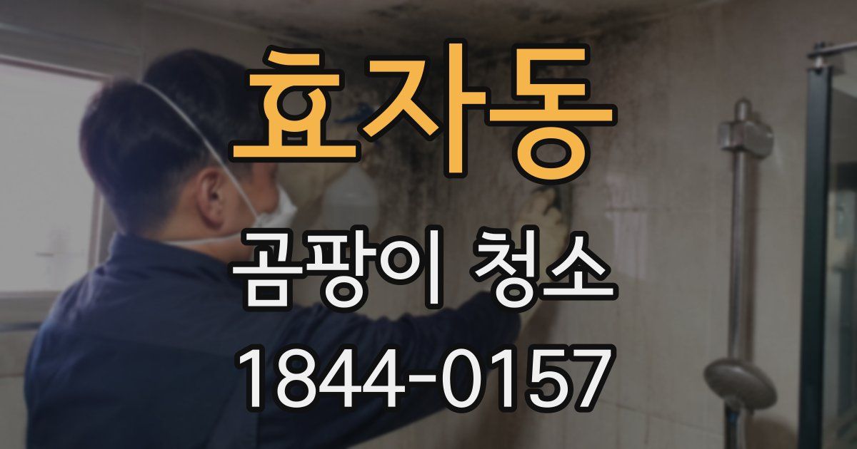 효자동 곰팡이 청소
