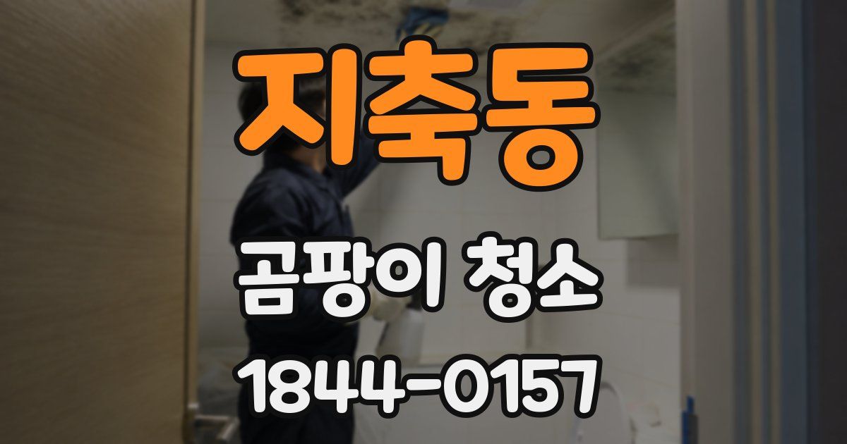 지축동 곰팡이 청소