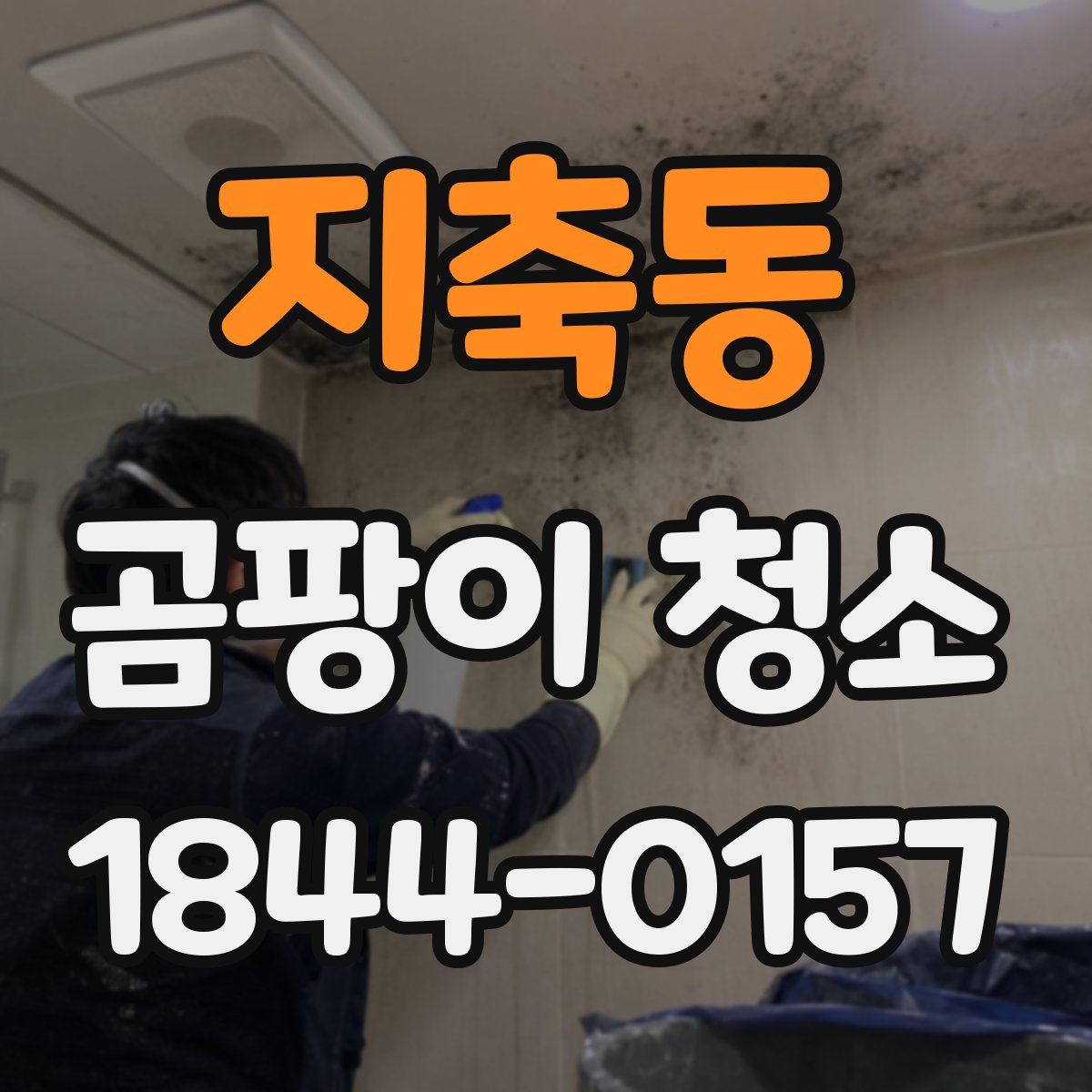 지축동 곰팡이 청소