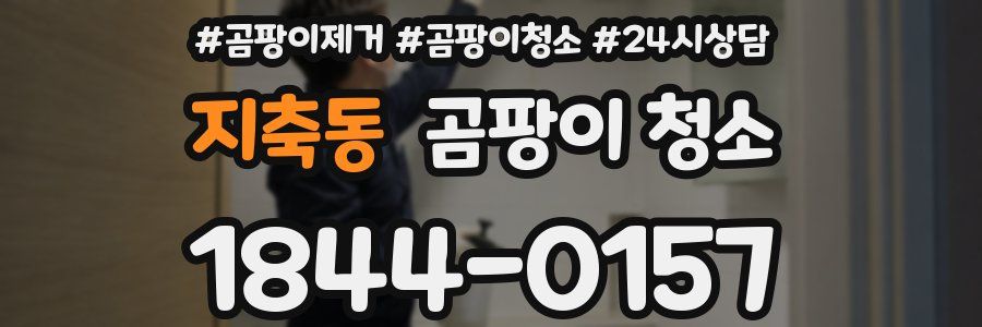 지축동 곰팡이 청소