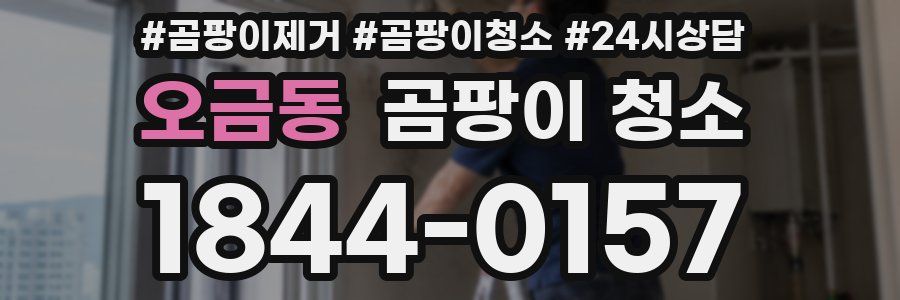 오금동 곰팡이 청소