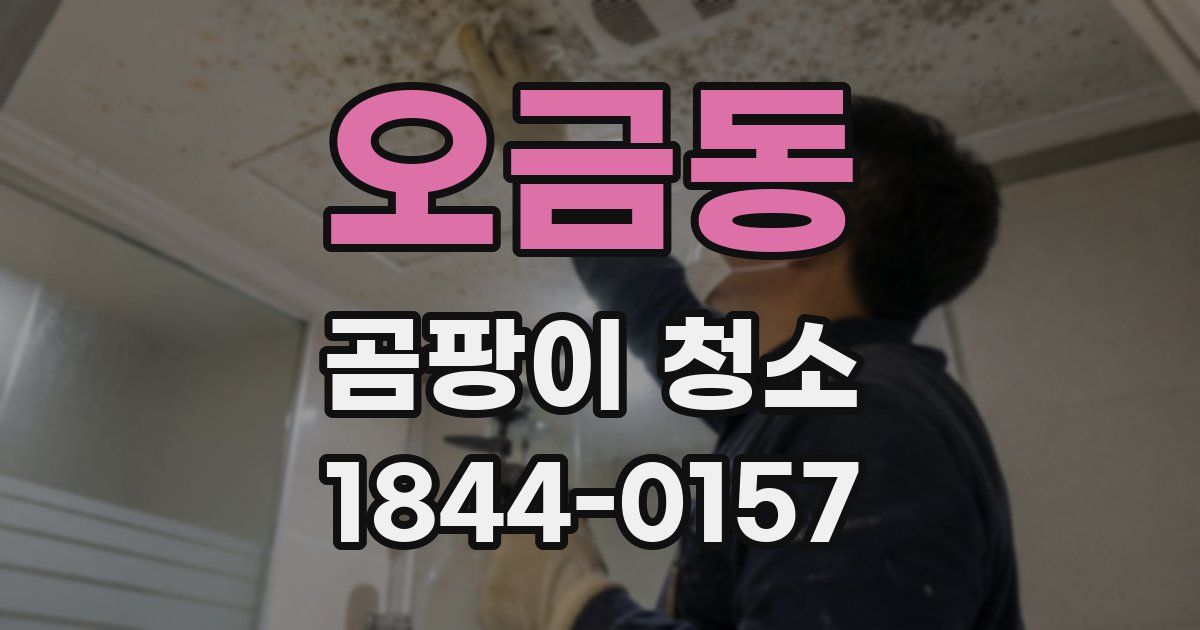 오금동 곰팡이 청소