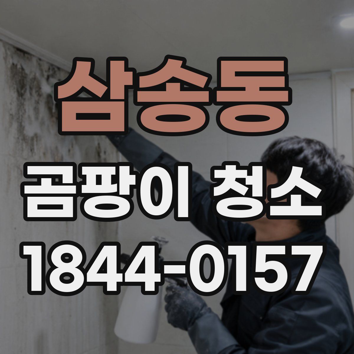 삼송동 곰팡이 청소