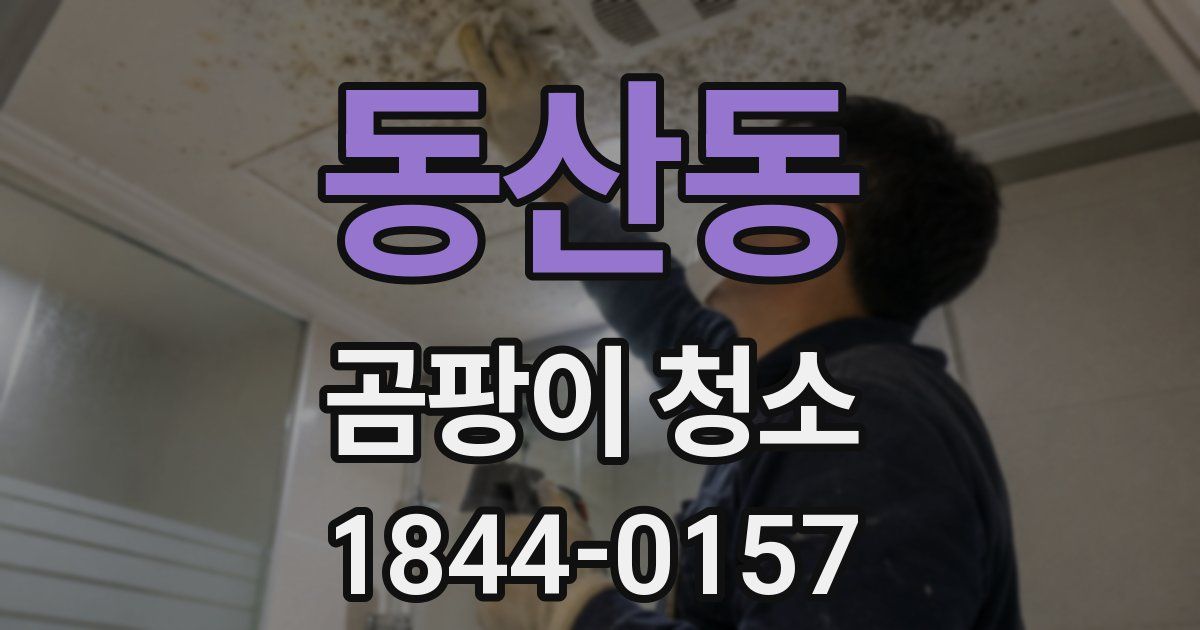 동산동 곰팡이 청소
