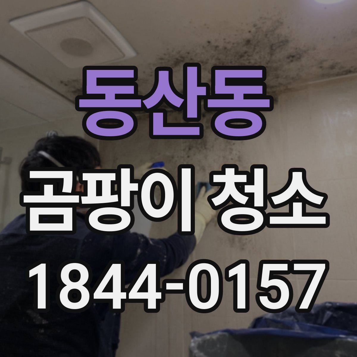 동산동 곰팡이 청소