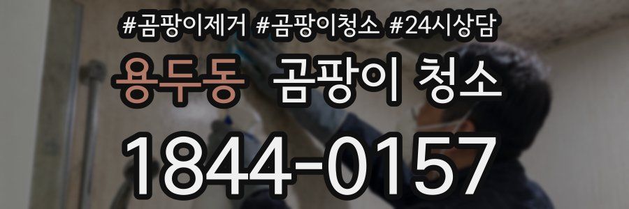 용두동 곰팡이 청소