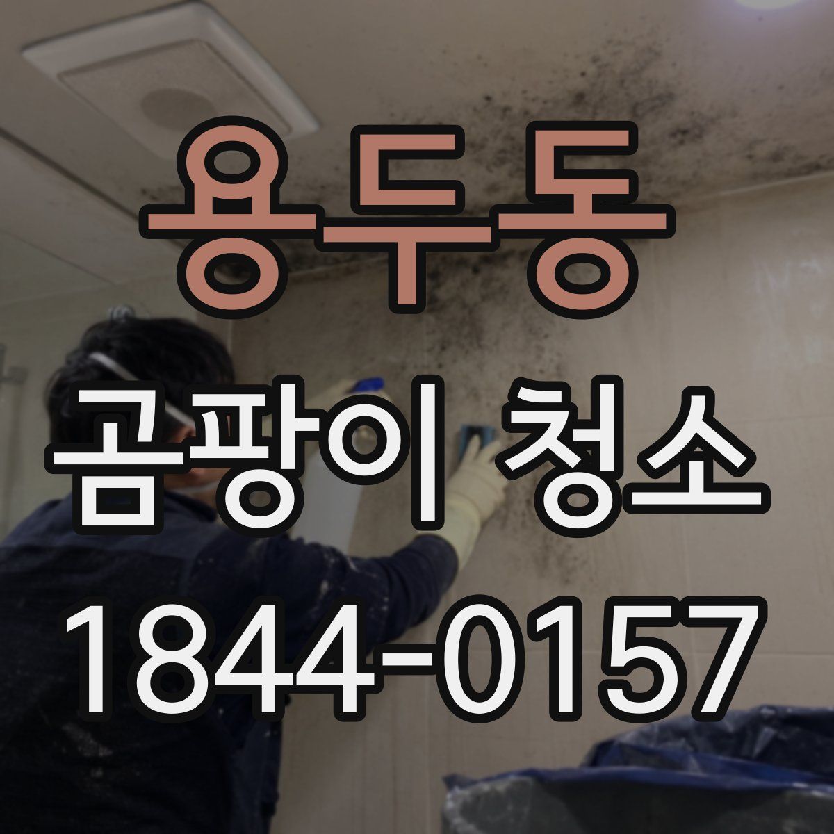 용두동 곰팡이 청소
