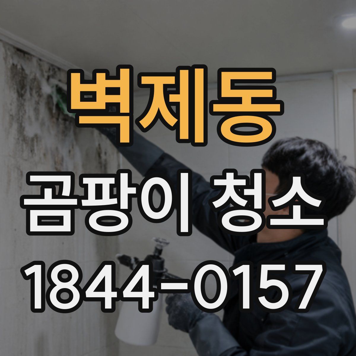벽제동 곰팡이 청소