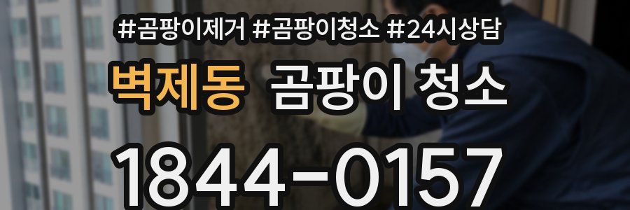 벽제동 곰팡이 청소