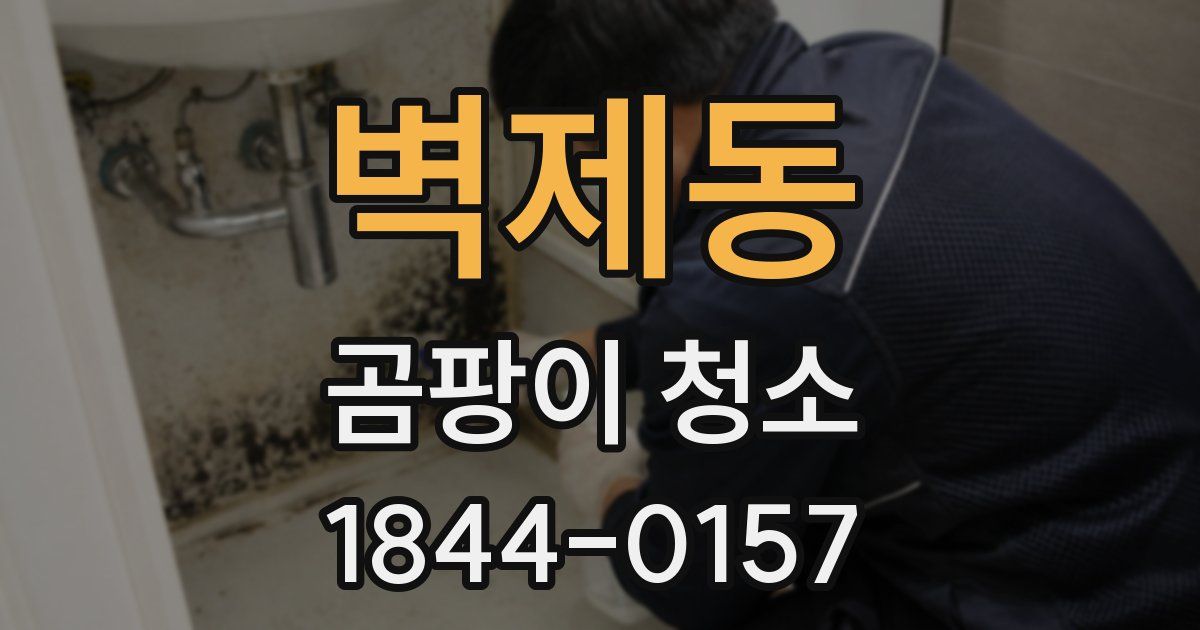 벽제동 곰팡이 청소
