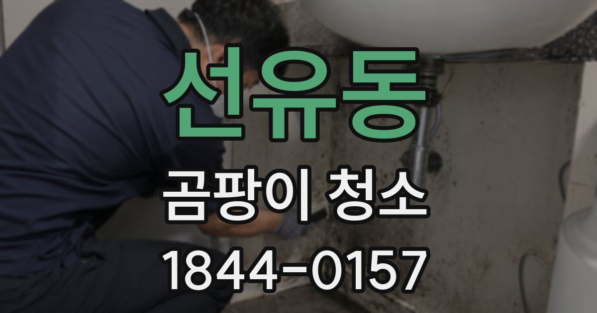 선유동 곰팡이 청소