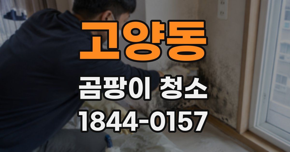 고양동 곰팡이 청소