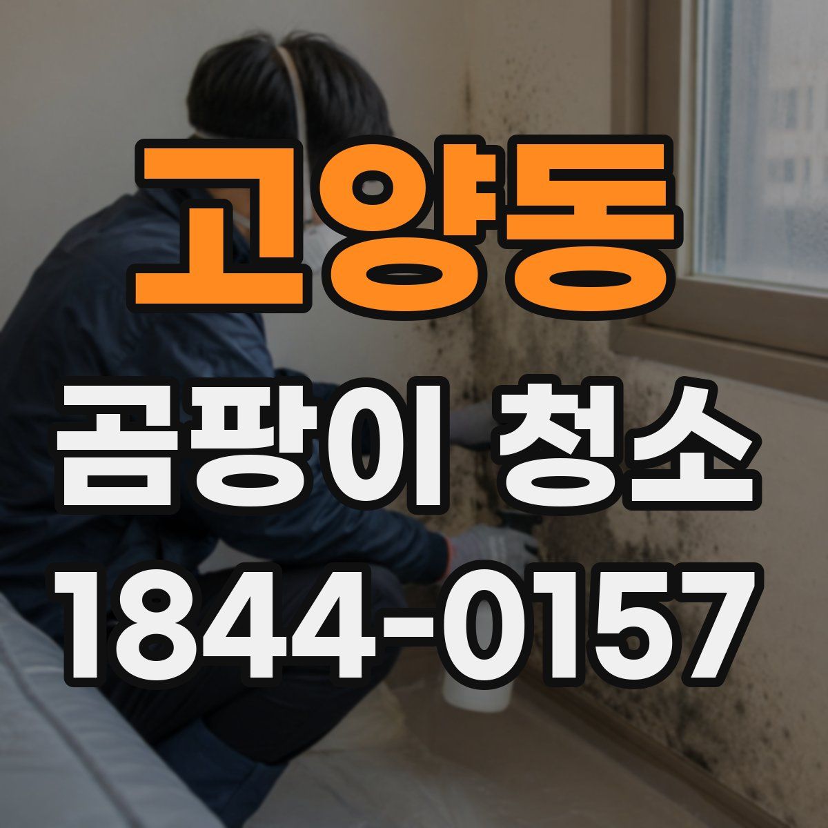 고양동 곰팡이 청소