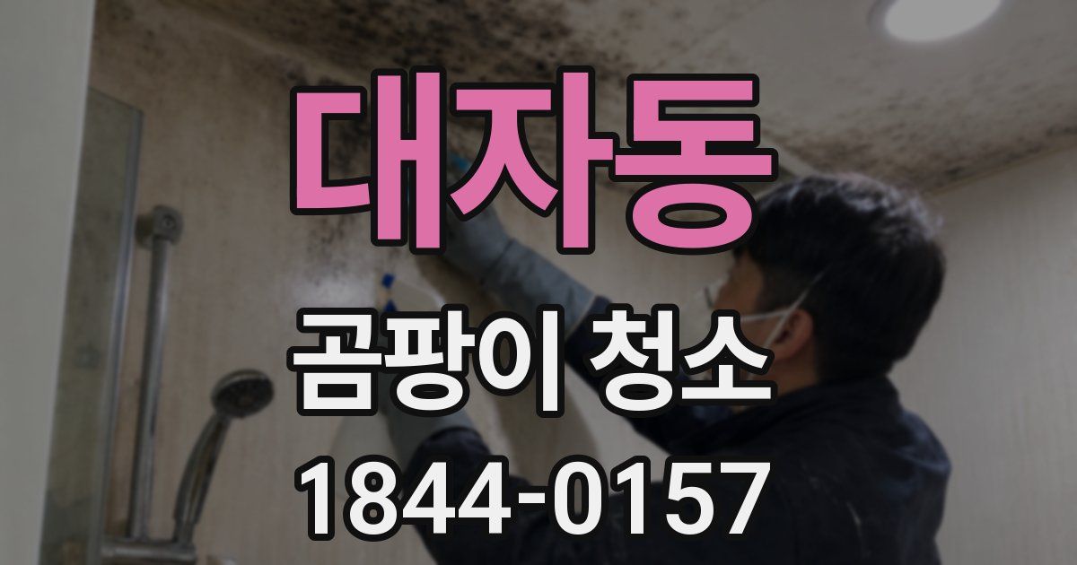 대자동 곰팡이 청소
