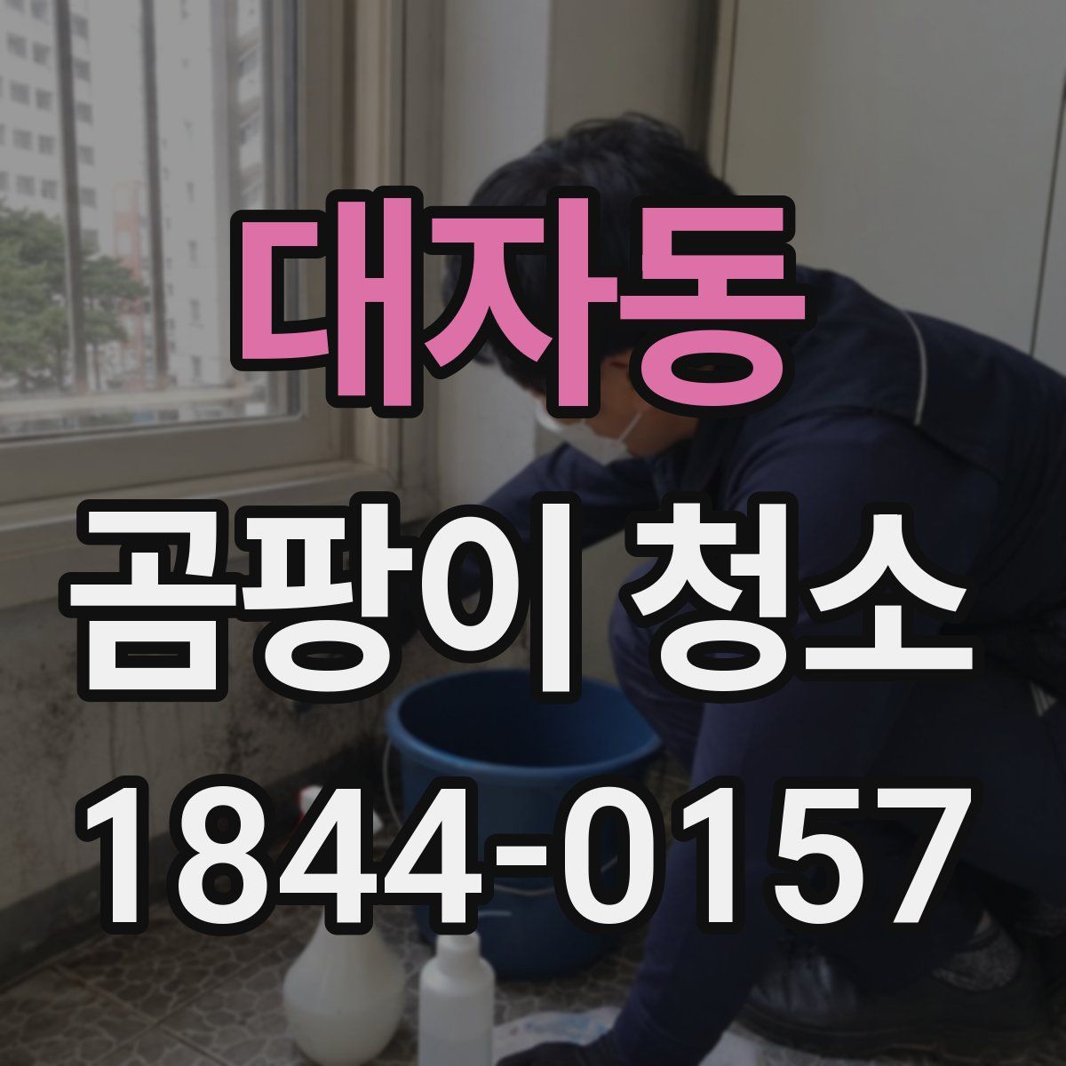 대자동 곰팡이 청소