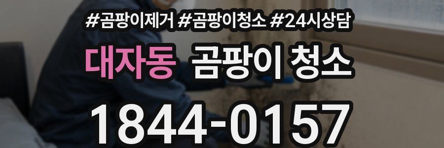 대자동 곰팡이 청소