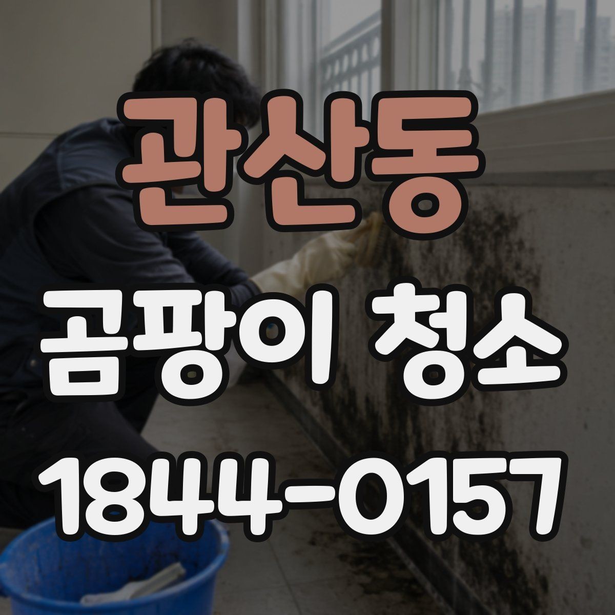 관산동 곰팡이 청소 표면 상태에 따라 달라지는 청소 준비 목록