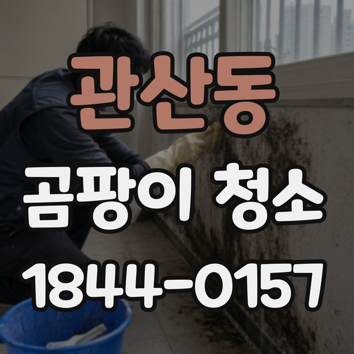 관산동 곰팡이 청소
