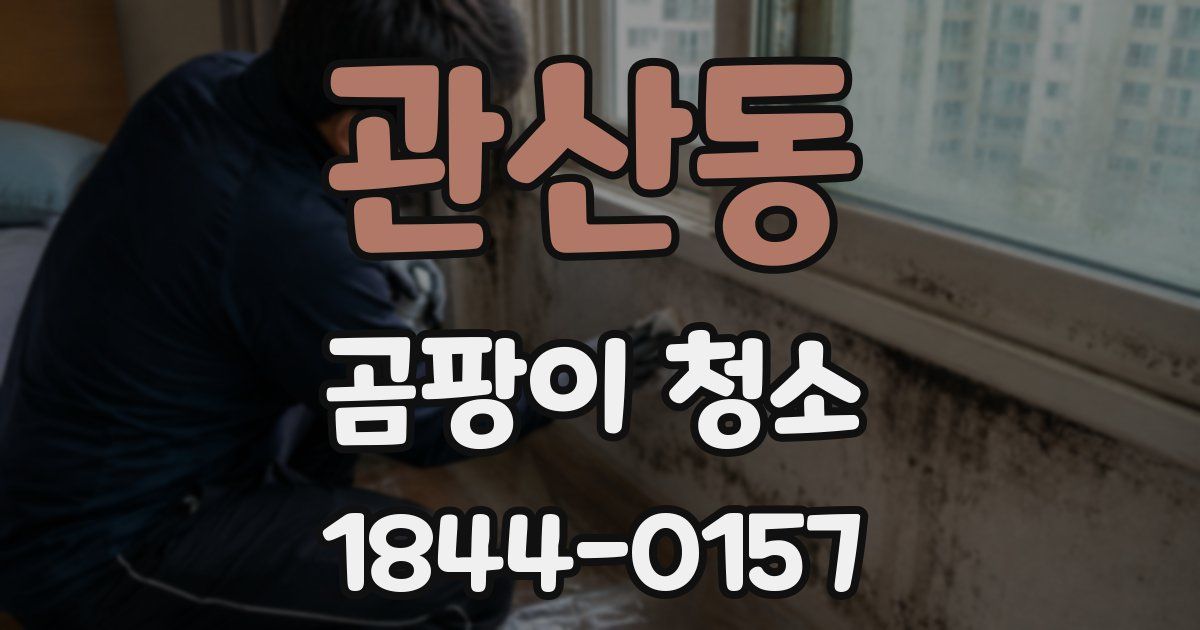 관산동 곰팡이 청소