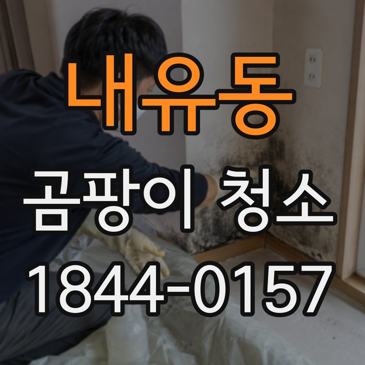 내유동 곰팡이 청소