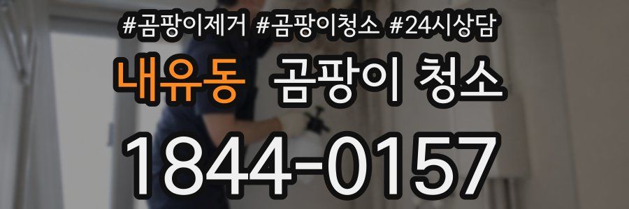 내유동 곰팡이 청소