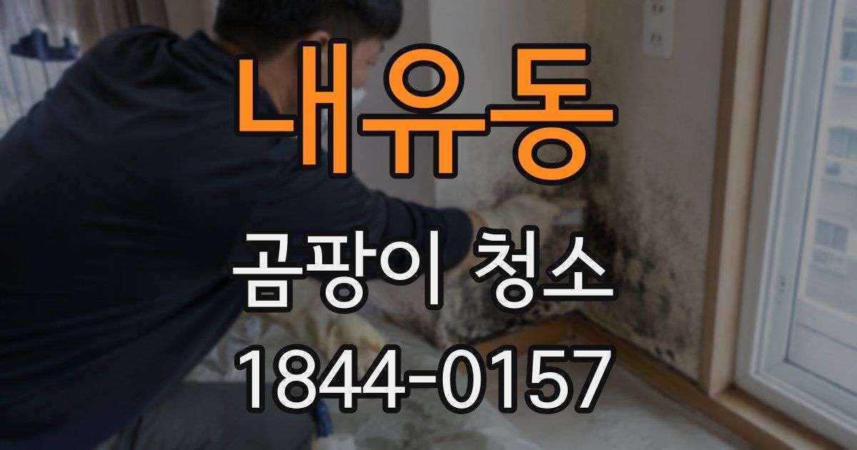 내유동 곰팡이 청소