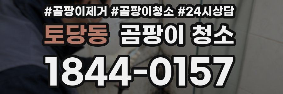 토당동 곰팡이 청소