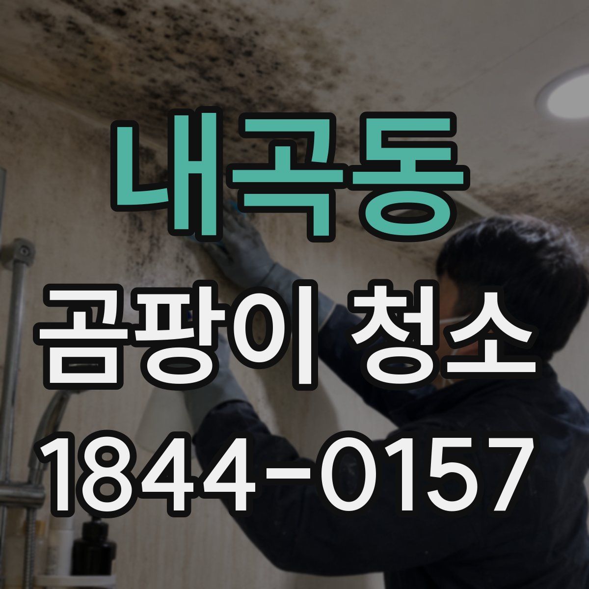 내곡동 곰팡이 청소