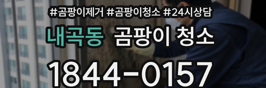 내곡동 곰팡이 청소