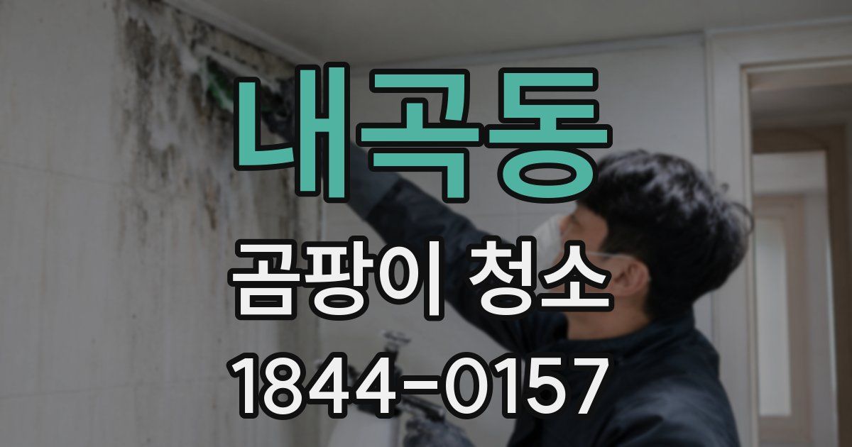 내곡동 곰팡이 청소