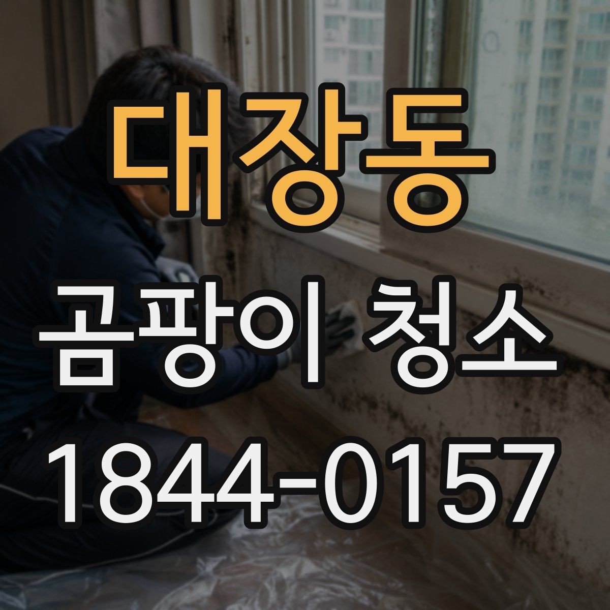 대장동 곰팡이 청소 단열 문제를 먼저 살펴야 하는 이유
